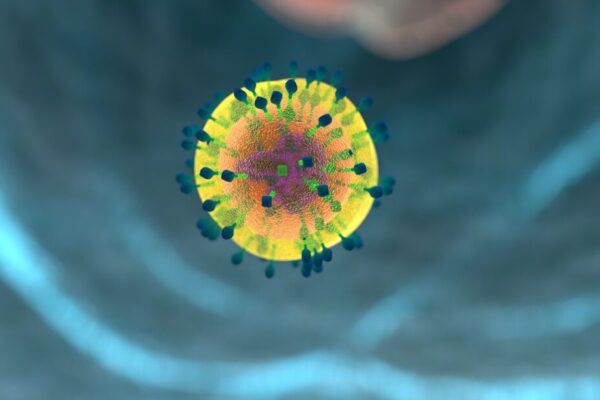 Ученые выяснили, какая форма иммунитета преобладает в борьбе с COVID-19