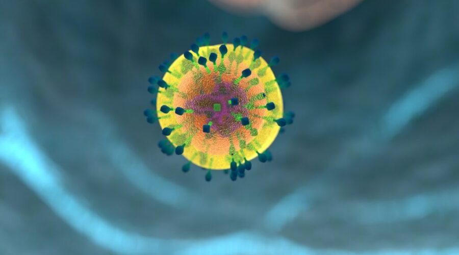 Ученые выяснили, какая форма иммунитета преобладает в борьбе с COVID-19