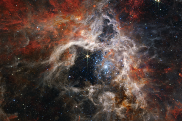 Телескоп Уэбба нашел молодые звезды в туманности «Тарантул»