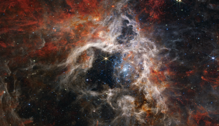Телескоп Уэбба нашел молодые звезды в туманности "Тарантул"
