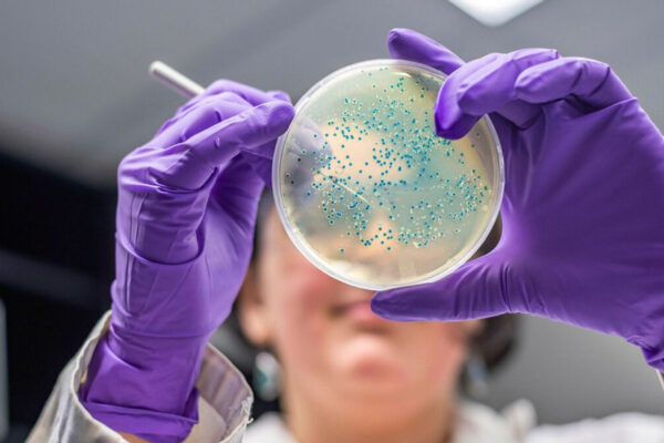 Некоторые бактерии становятся более устойчивыми к антибиотикам из-за пандемии