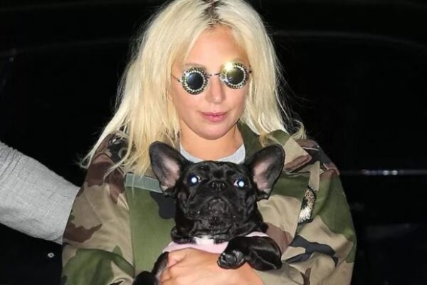Похитителя собак Леди Гага приговорили к 21 году заключения