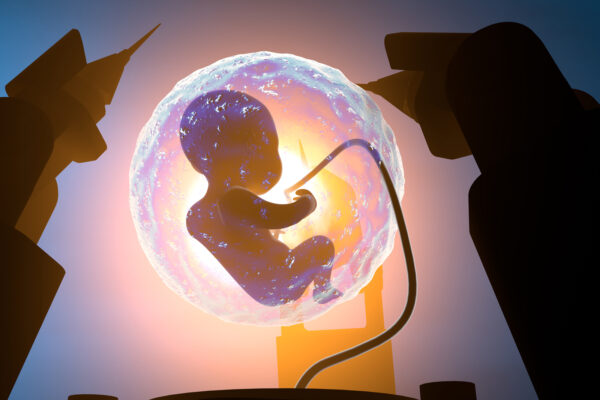 Искусственный интеллект научился классифицировать человеческие эмбрионы