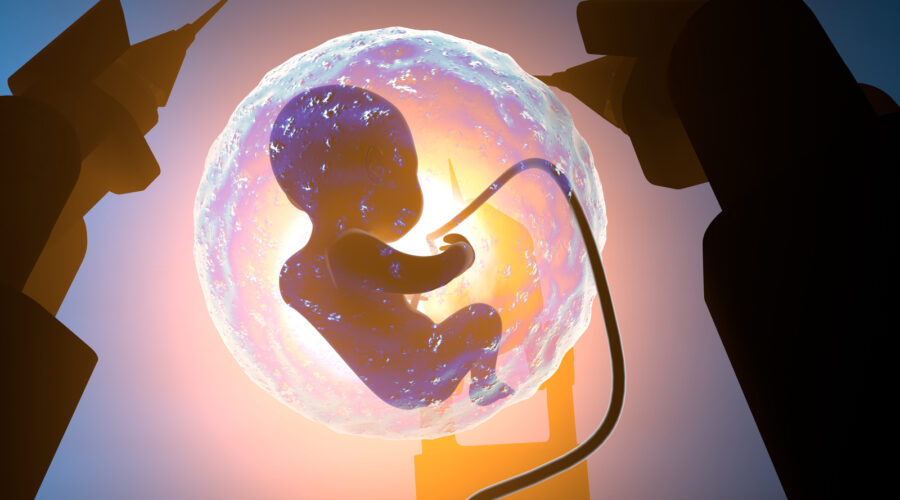Искусственный интеллект научился классифицировать человеческие эмбрионы