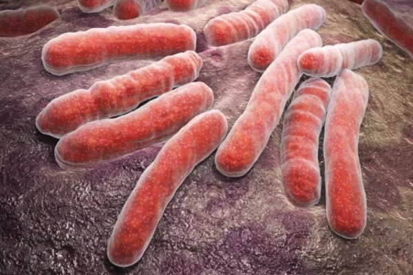 Новое лечение туберкулеза может спасти миллионы жизней